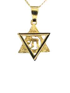 14k yellow gold Star of David with Chai
