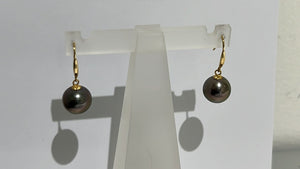 Tahitian round pearl earrings